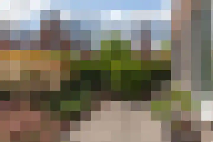Parkzichtlaan 114 Utrecht thumbnail 28