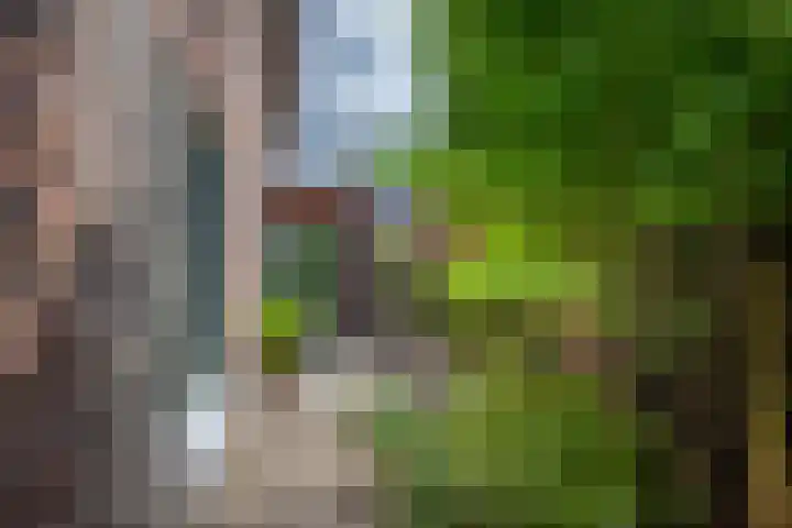 Parkzichtlaan 114 Utrecht thumbnail 29