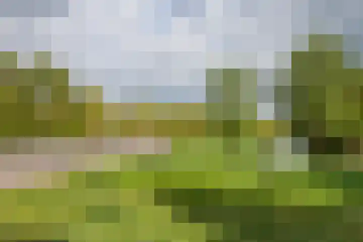 Parkzichtlaan 114 Utrecht thumbnail 48