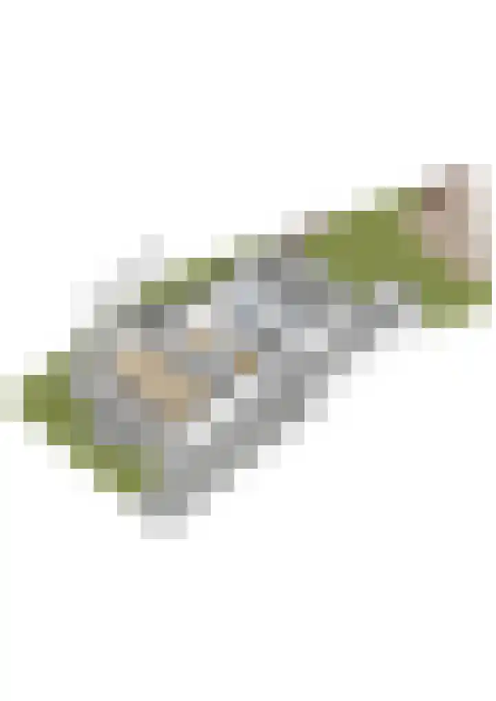Parkzichtlaan 114 Utrecht thumbnail 50