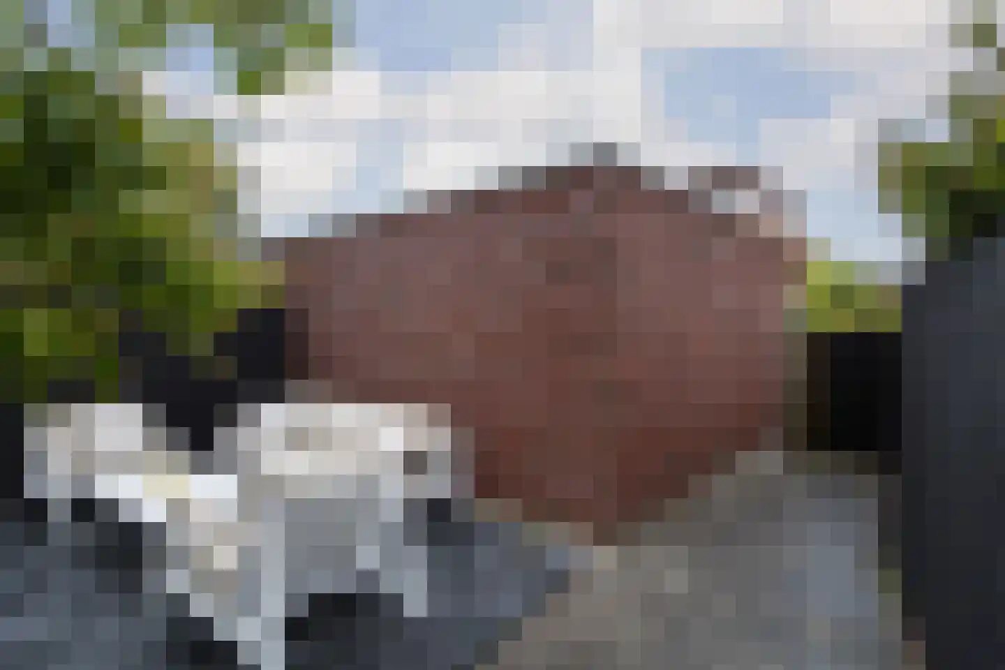 Parkzichtlaan 130 Utrecht thumbnail 31