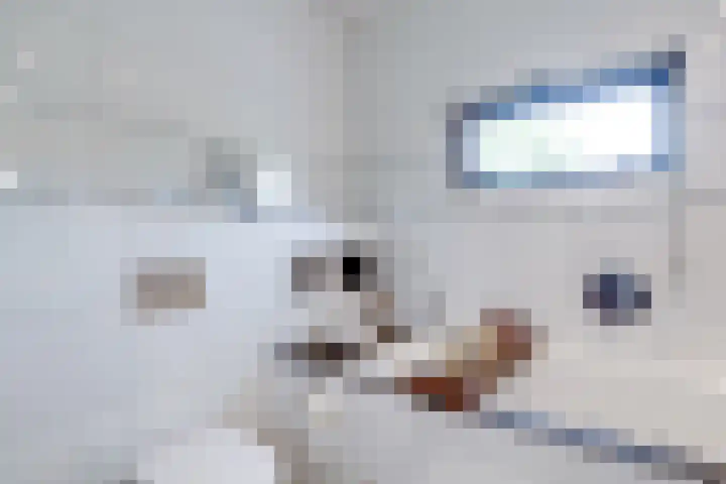 Parkzichtlaan 130 Utrecht thumbnail 52