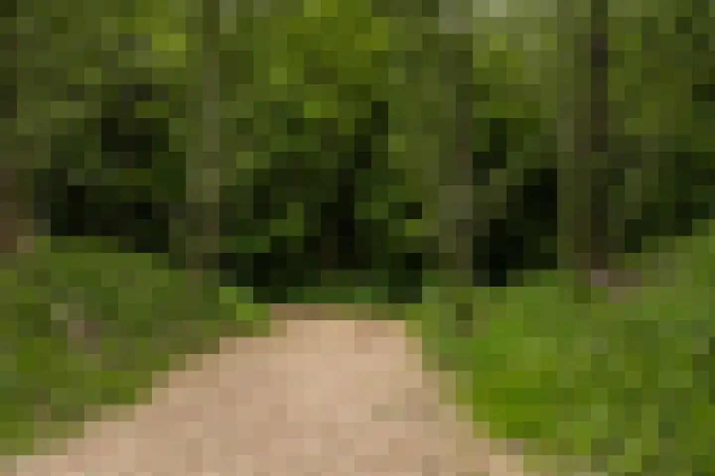 Parkzichtlaan 130 Utrecht thumbnail 75