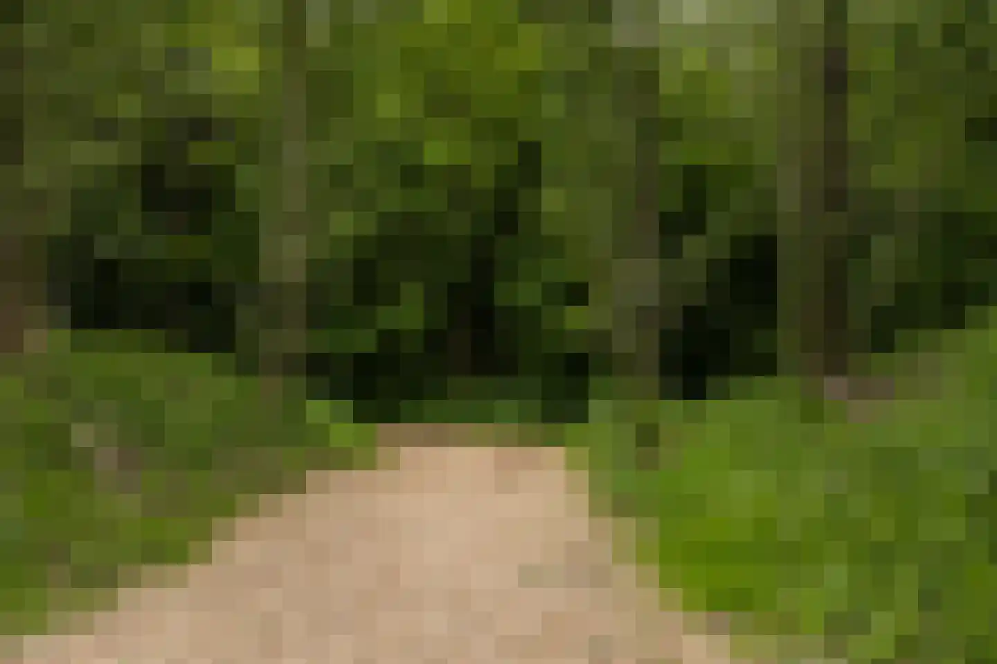 Parkzichtlaan 130 Utrecht thumbnail 75