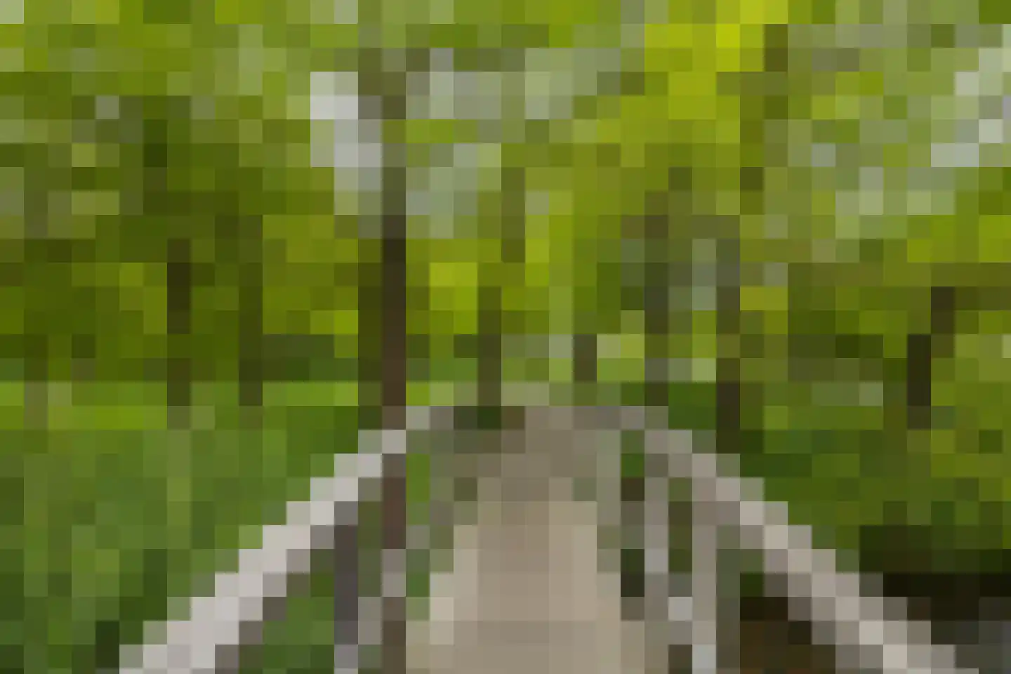 Parkzichtlaan 130 Utrecht thumbnail 79
