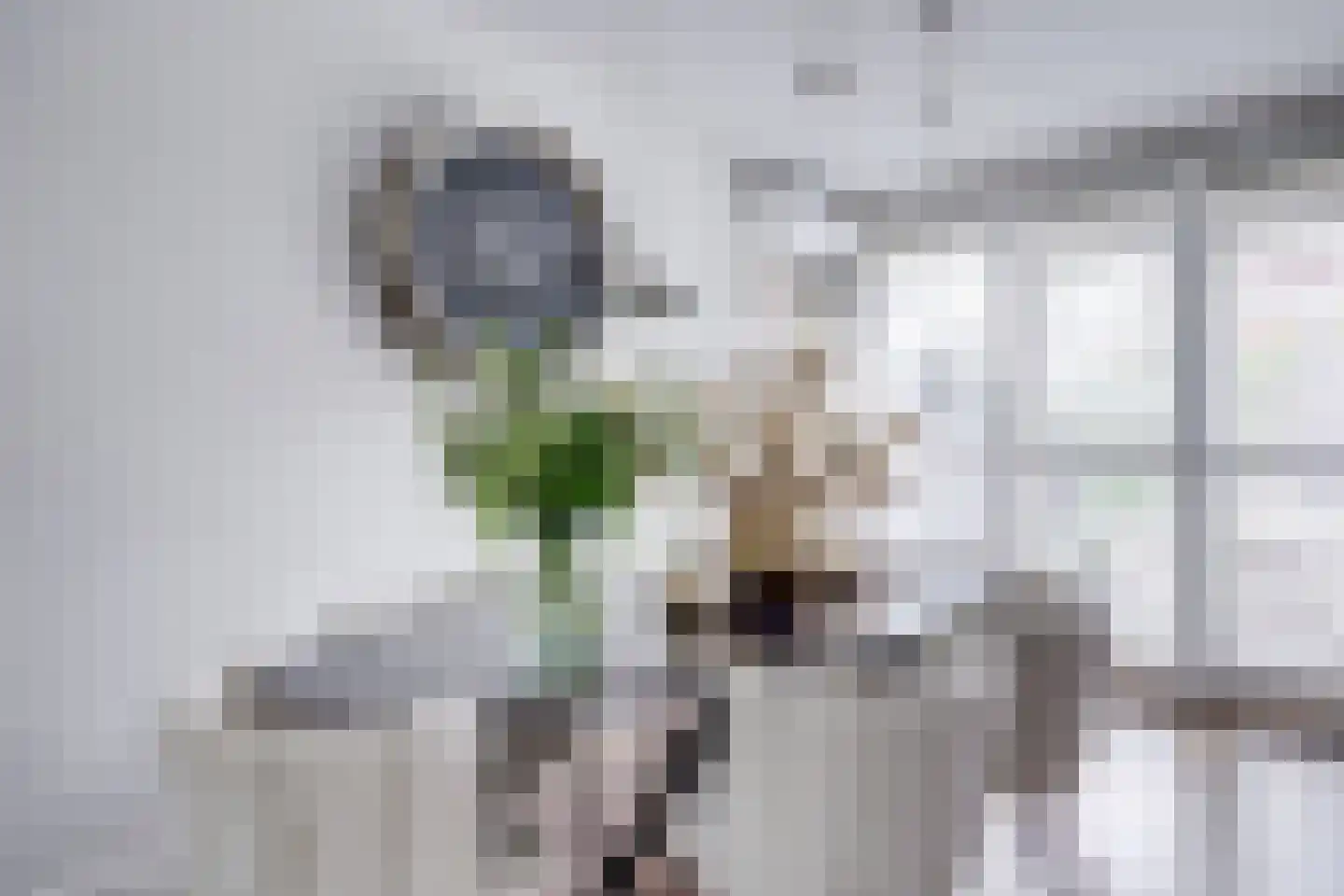 Parkzichtlaan 130 Utrecht thumbnail 8