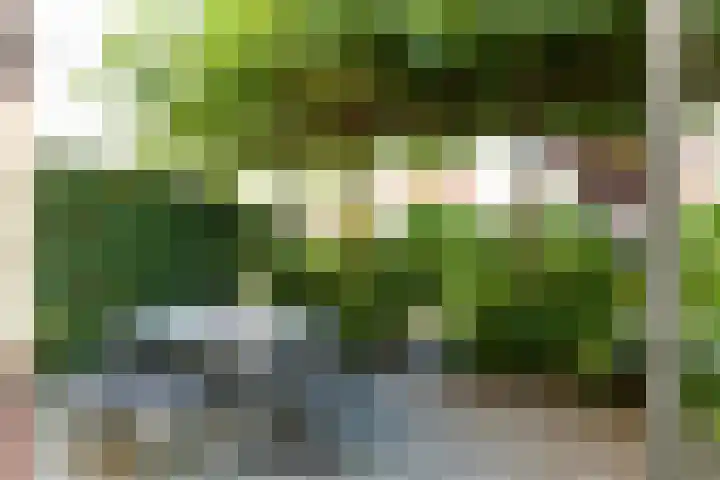 Parkzichtlaan 132 Utrecht thumbnail 33