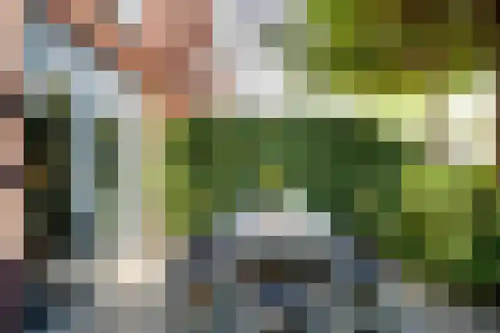 Parkzichtlaan 132 Utrecht thumbnail 34