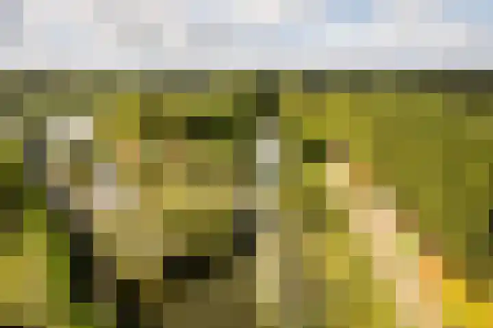 Parkzichtlaan 132 Utrecht thumbnail 41