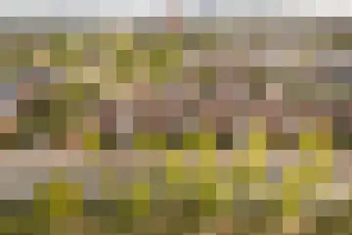 Parkzichtlaan 132 Utrecht thumbnail 42