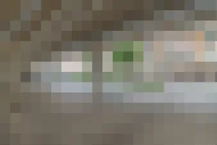 Parkzichtlaan 15 Utrecht thumbnail 26