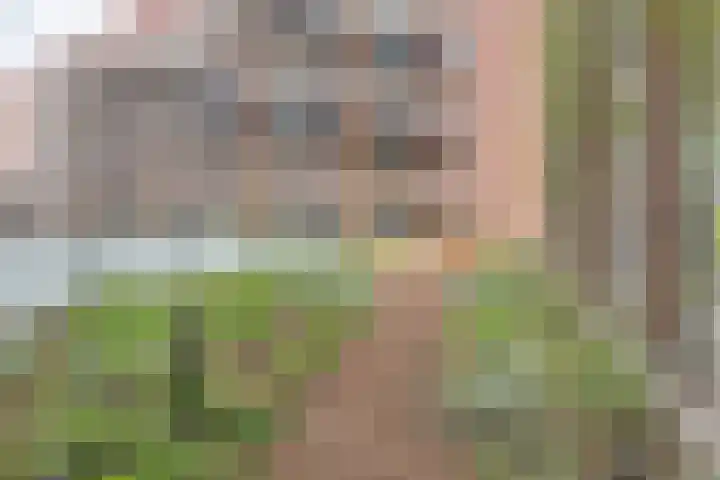 Parkzichtlaan 15 Utrecht thumbnail 30