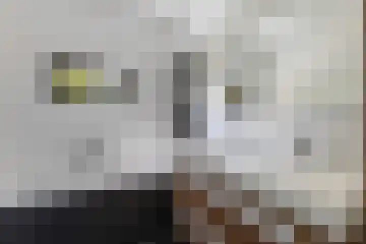 Parkzichtlaan 158 Utrecht thumbnail 25