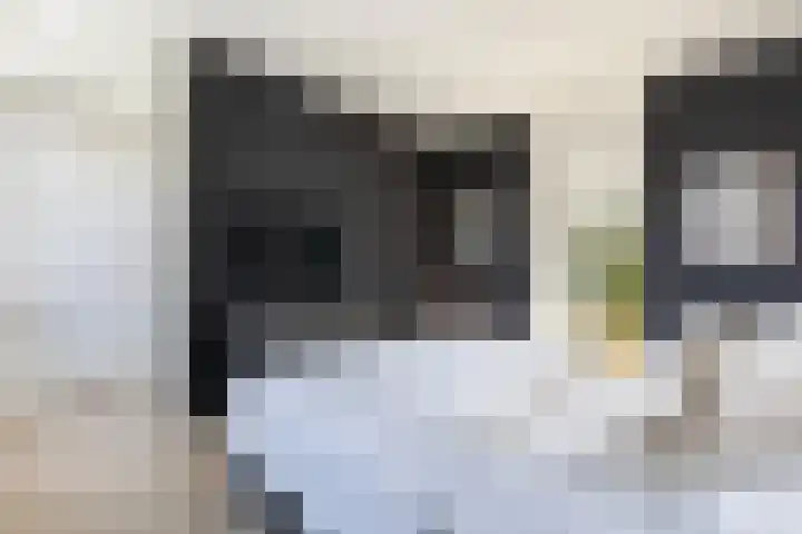 Parkzichtlaan 158 Utrecht thumbnail 31