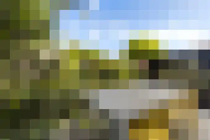 Parkzichtlaan 158 Utrecht thumbnail 42