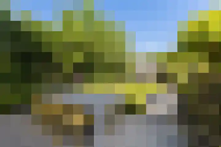Parkzichtlaan 158 Utrecht thumbnail 43