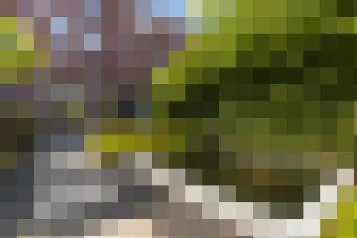 Parkzichtlaan 158 Utrecht thumbnail 45