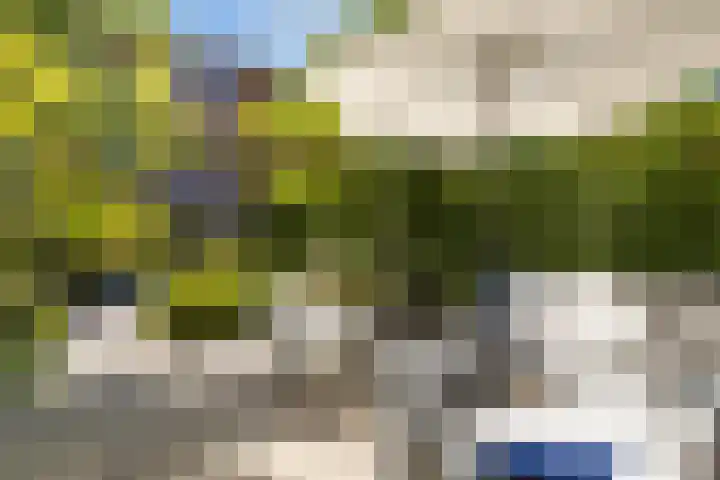 Parkzichtlaan 158 Utrecht thumbnail 46