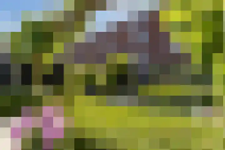 Parkzichtlaan 158 Utrecht thumbnail 47