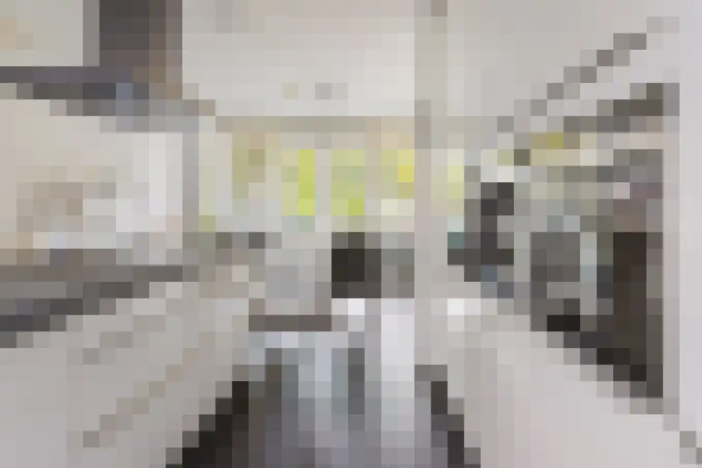 Parkzichtlaan 186 Utrecht thumbnail 16