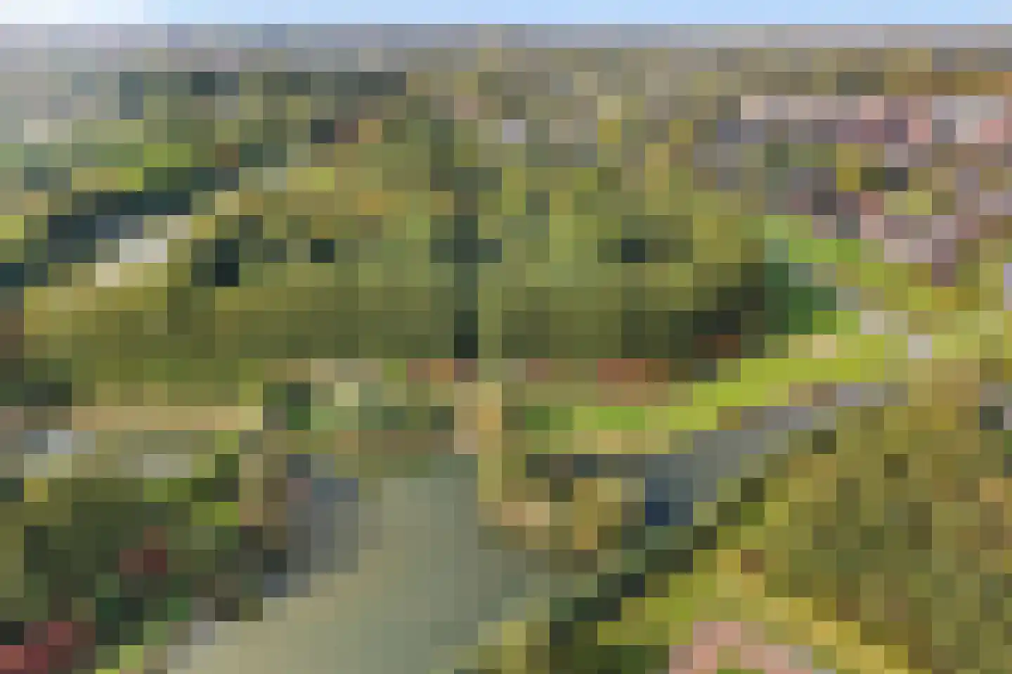 Parkzichtlaan 186 Utrecht thumbnail 37