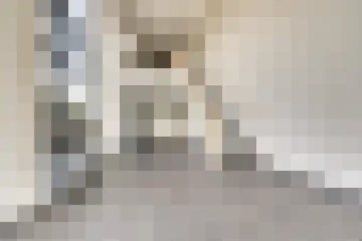 Parkzichtlaan 23 Utrecht thumbnail 11