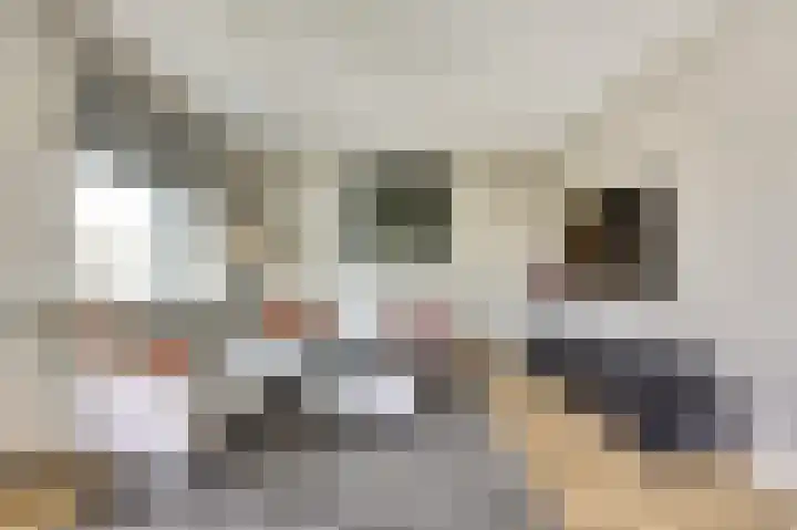 Parkzichtlaan 23 Utrecht thumbnail 17