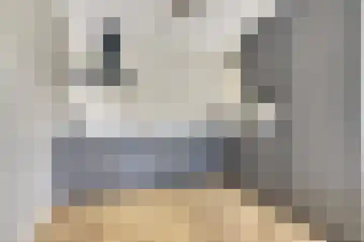 Parkzichtlaan 23 Utrecht thumbnail 23