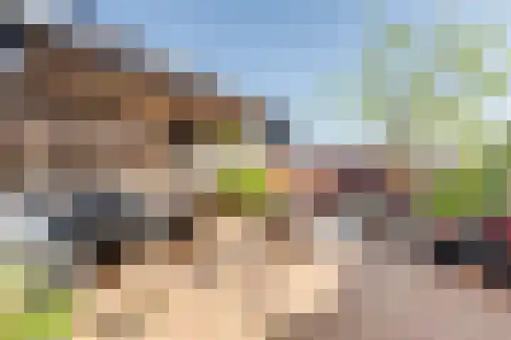 Parkzichtlaan 294 Utrecht thumbnail 39