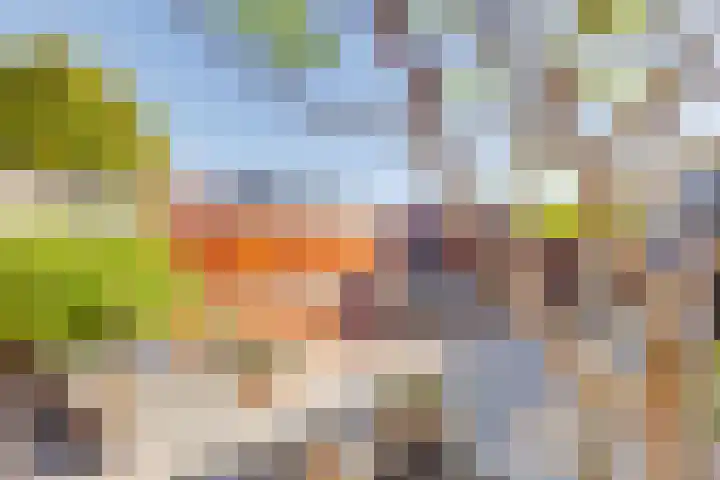 Parkzichtlaan 294 Utrecht thumbnail 42