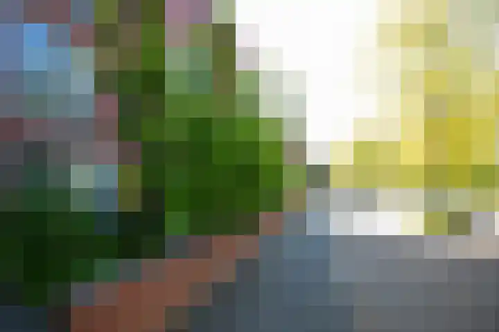 Parkzichtlaan 294 Utrecht thumbnail 46