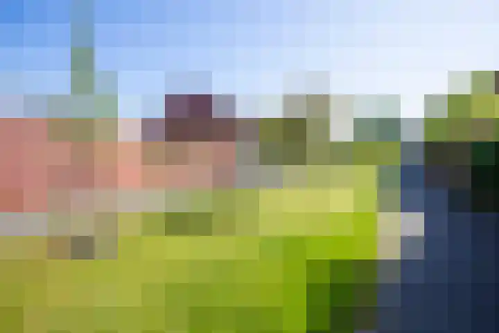Parkzichtlaan 294 Utrecht thumbnail 50
