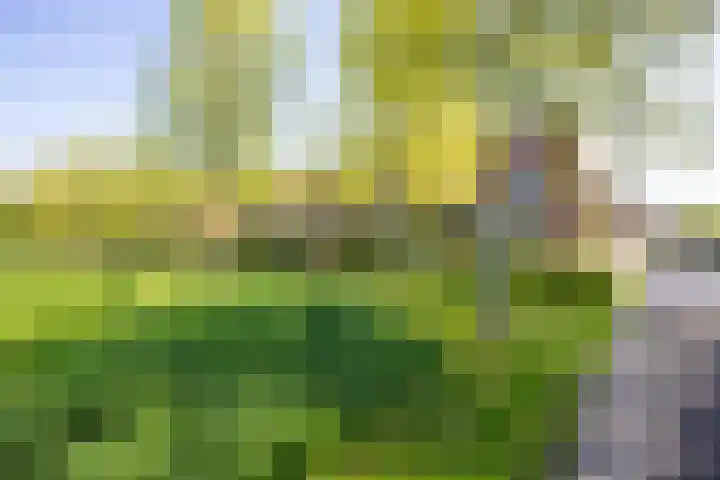 Parkzichtlaan 294 Utrecht thumbnail 51