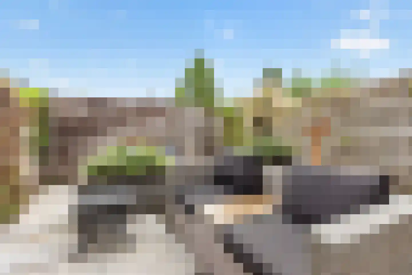 Parkzichtlaan 354 Utrecht thumbnail 15