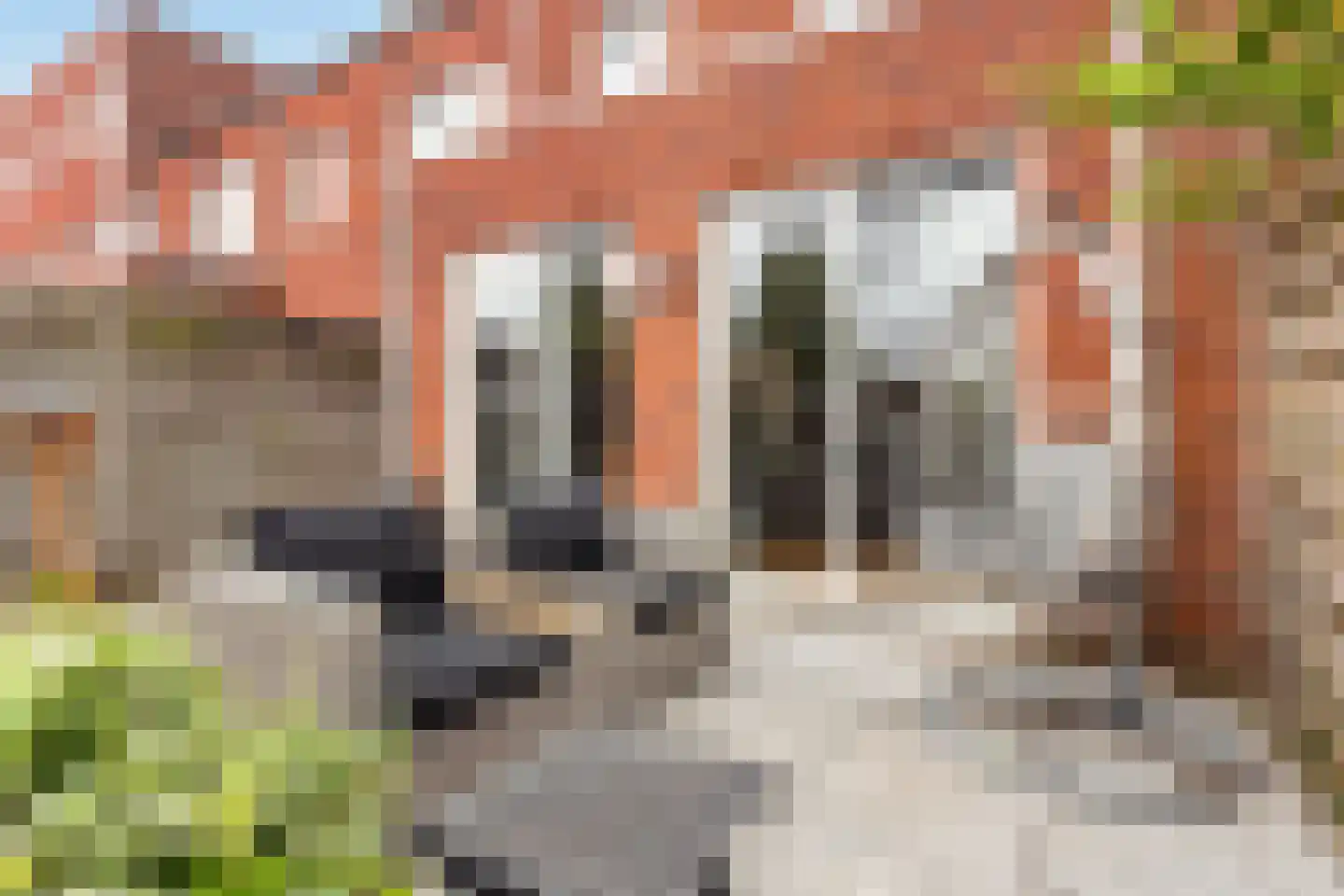 Parkzichtlaan 354 Utrecht thumbnail 16
