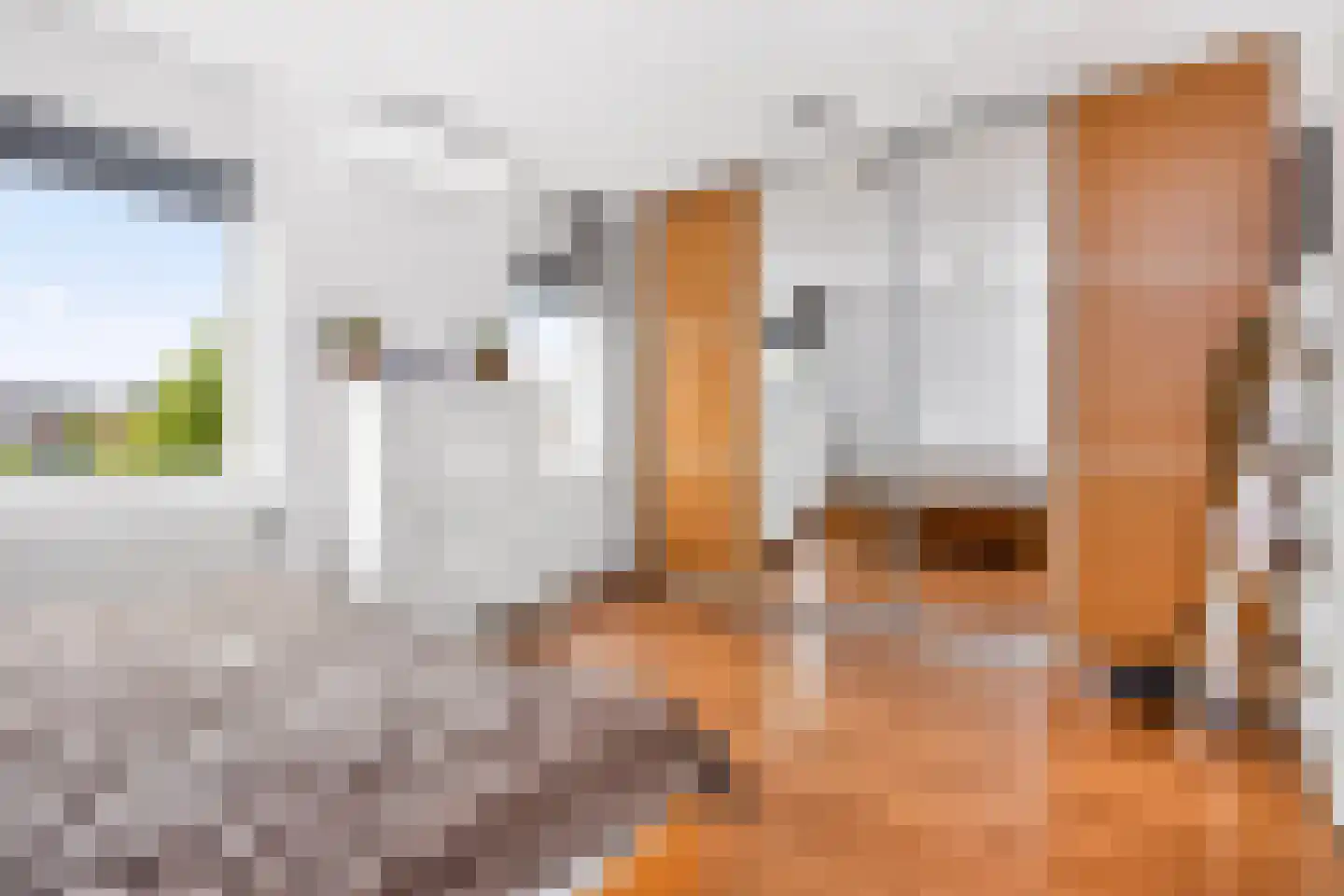 Parkzichtlaan 354 Utrecht thumbnail 22
