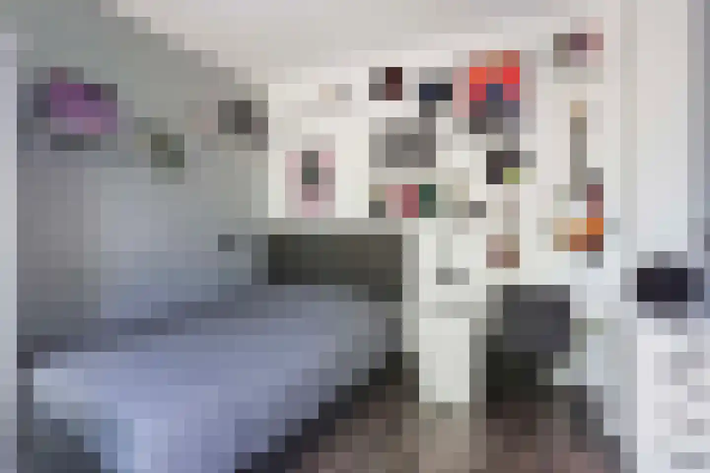 Parkzichtlaan 376 Utrecht thumbnail 36