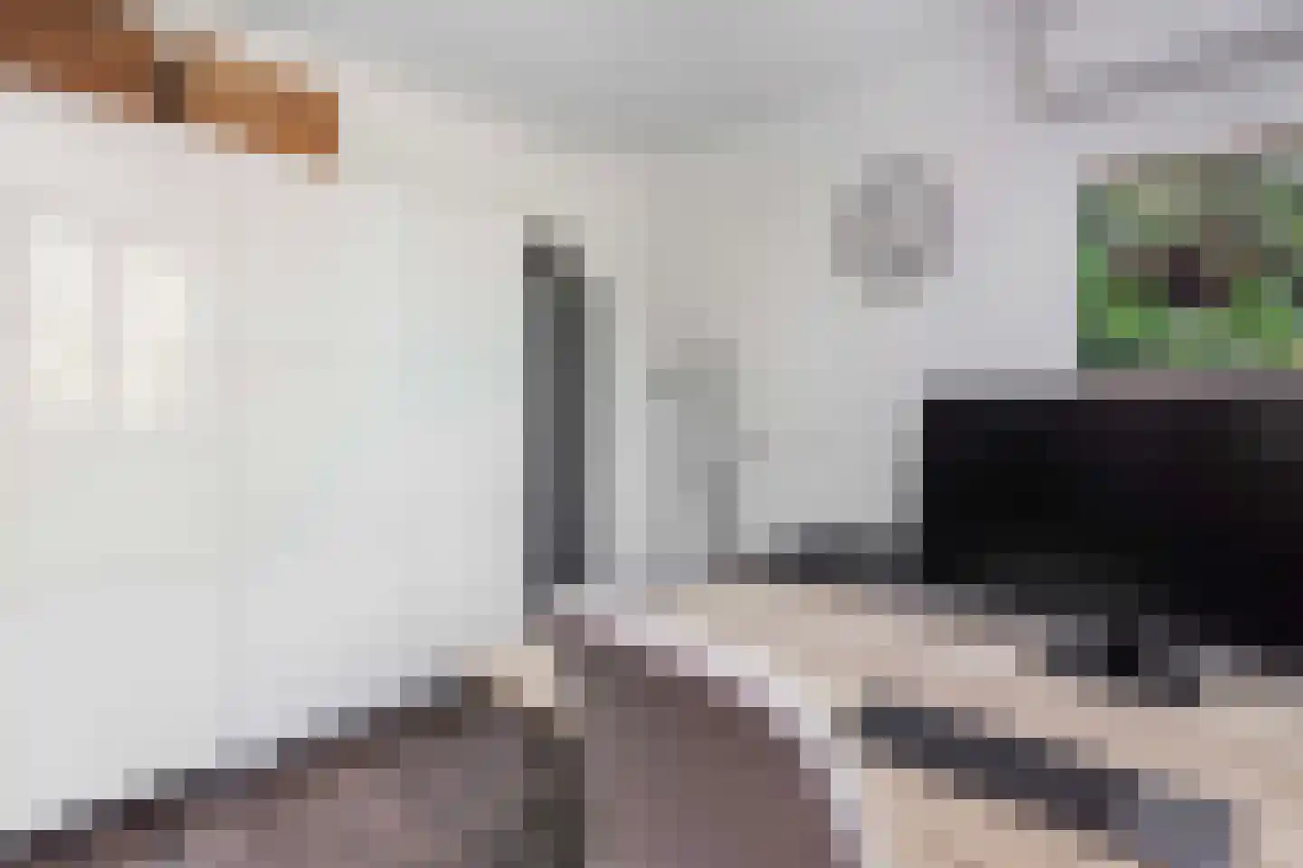 Parkzichtlaan 376 Utrecht thumbnail 46
