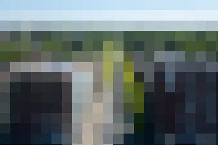 Parkzichtlaan 63 Utrecht thumbnail 7