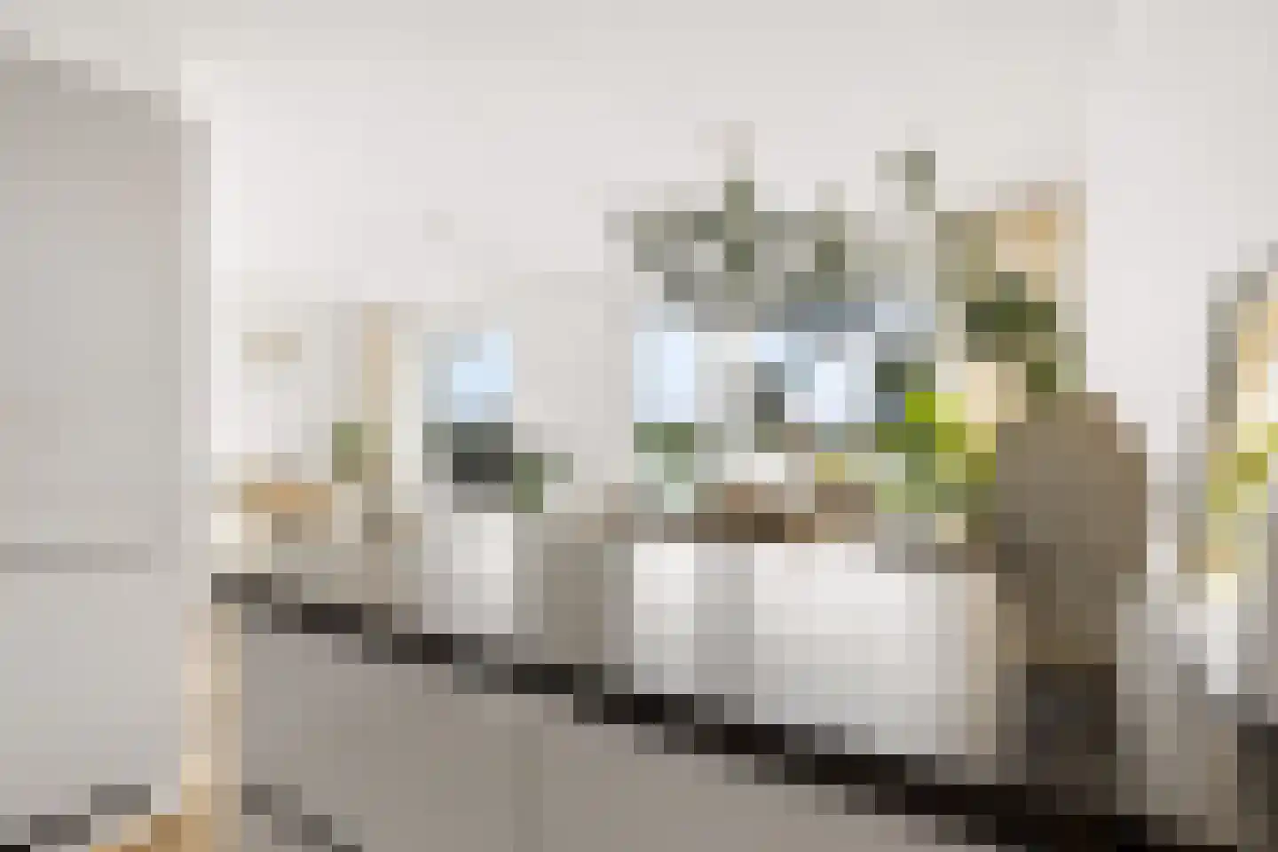 Parkzichtlaan 69 Utrecht thumbnail 17