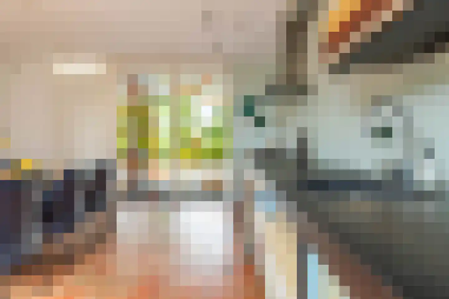 Parkzijde 16 Groningen thumbnail 11