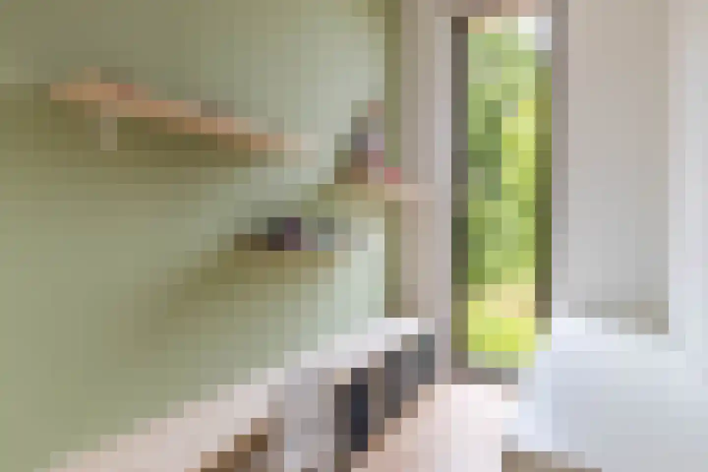 Parkzijde 16 Groningen thumbnail 19