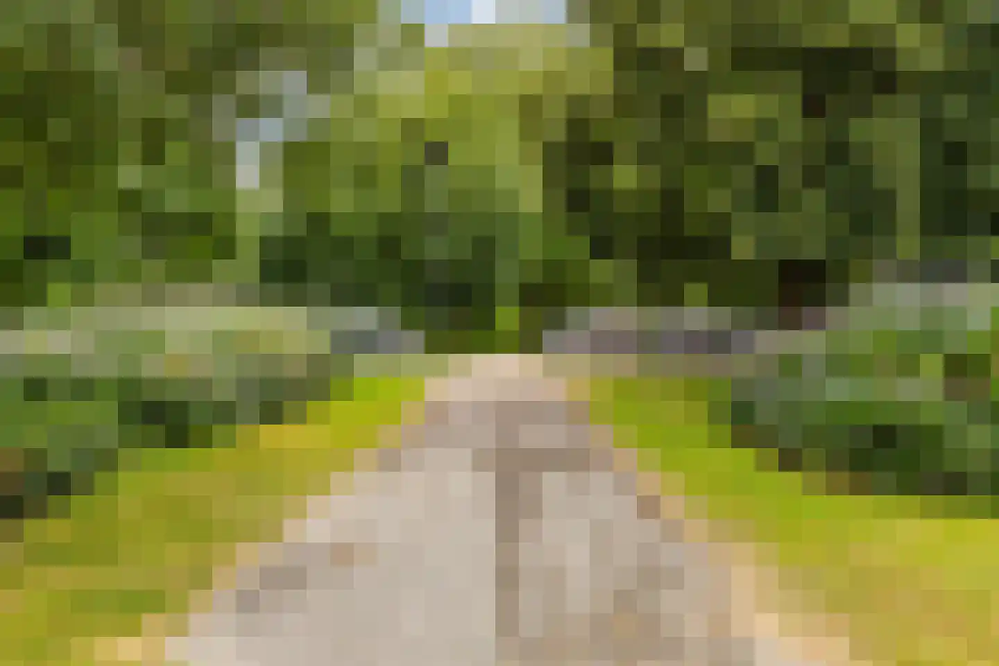 Parkzijde 16 Groningen thumbnail 52