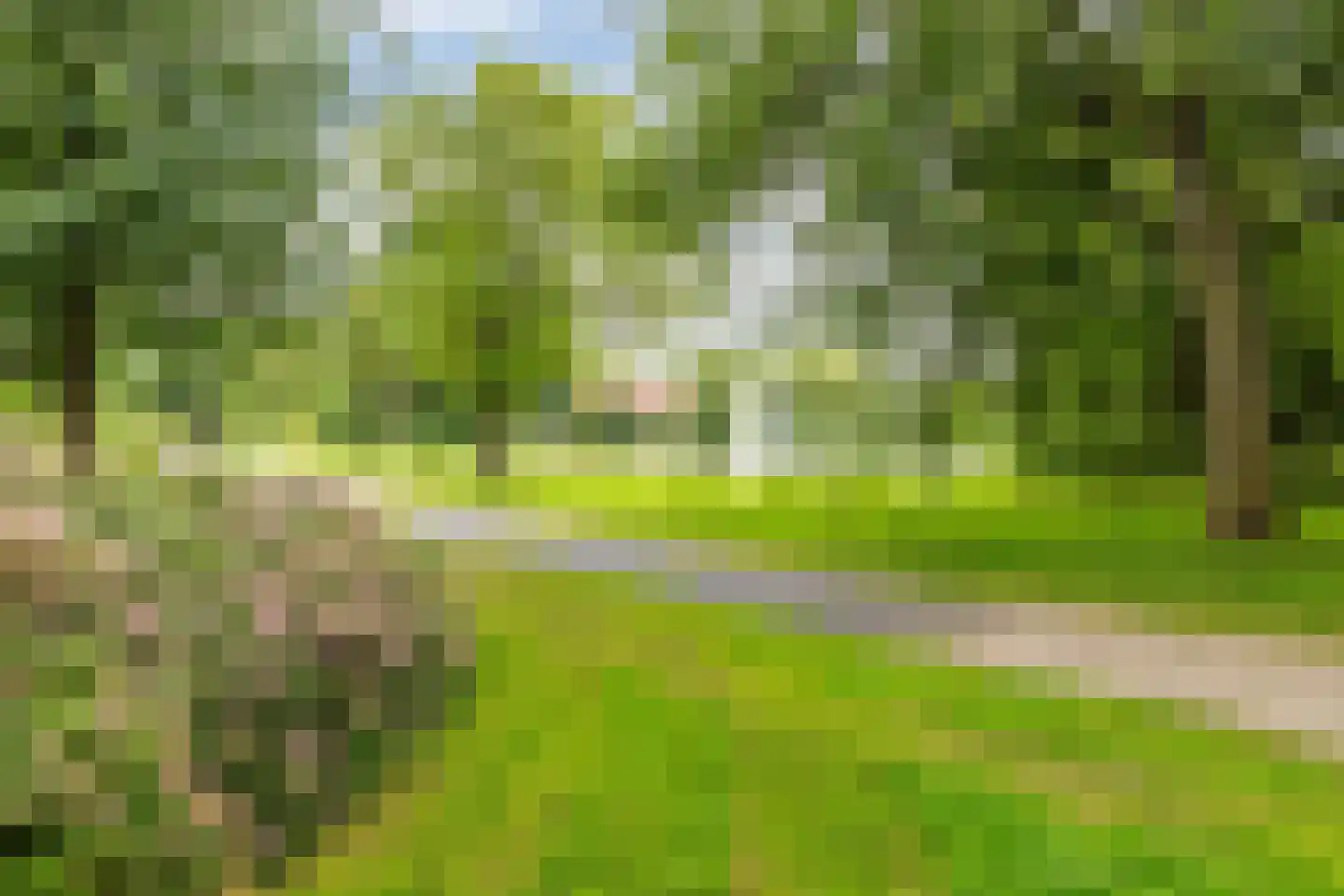 Parkzijde 16 Groningen thumbnail 53