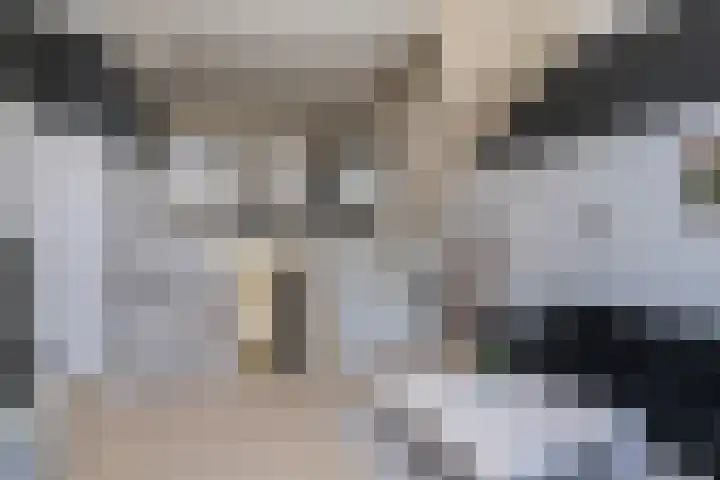 Parkzijde 87 Den Haag thumbnail 11