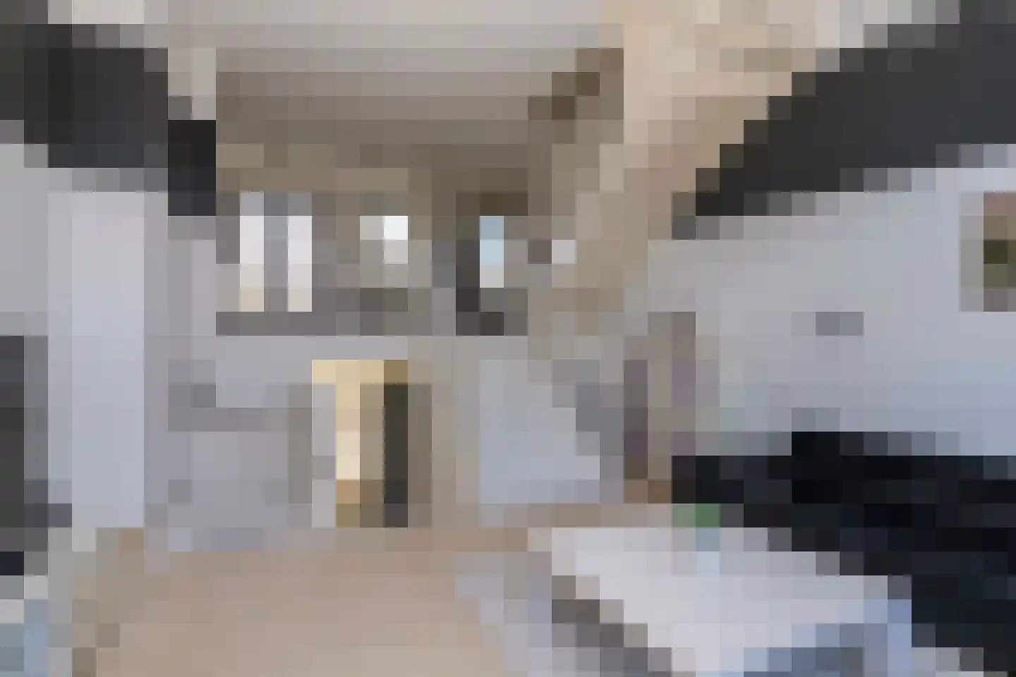 Parkzijde 87 Den Haag thumbnail 11