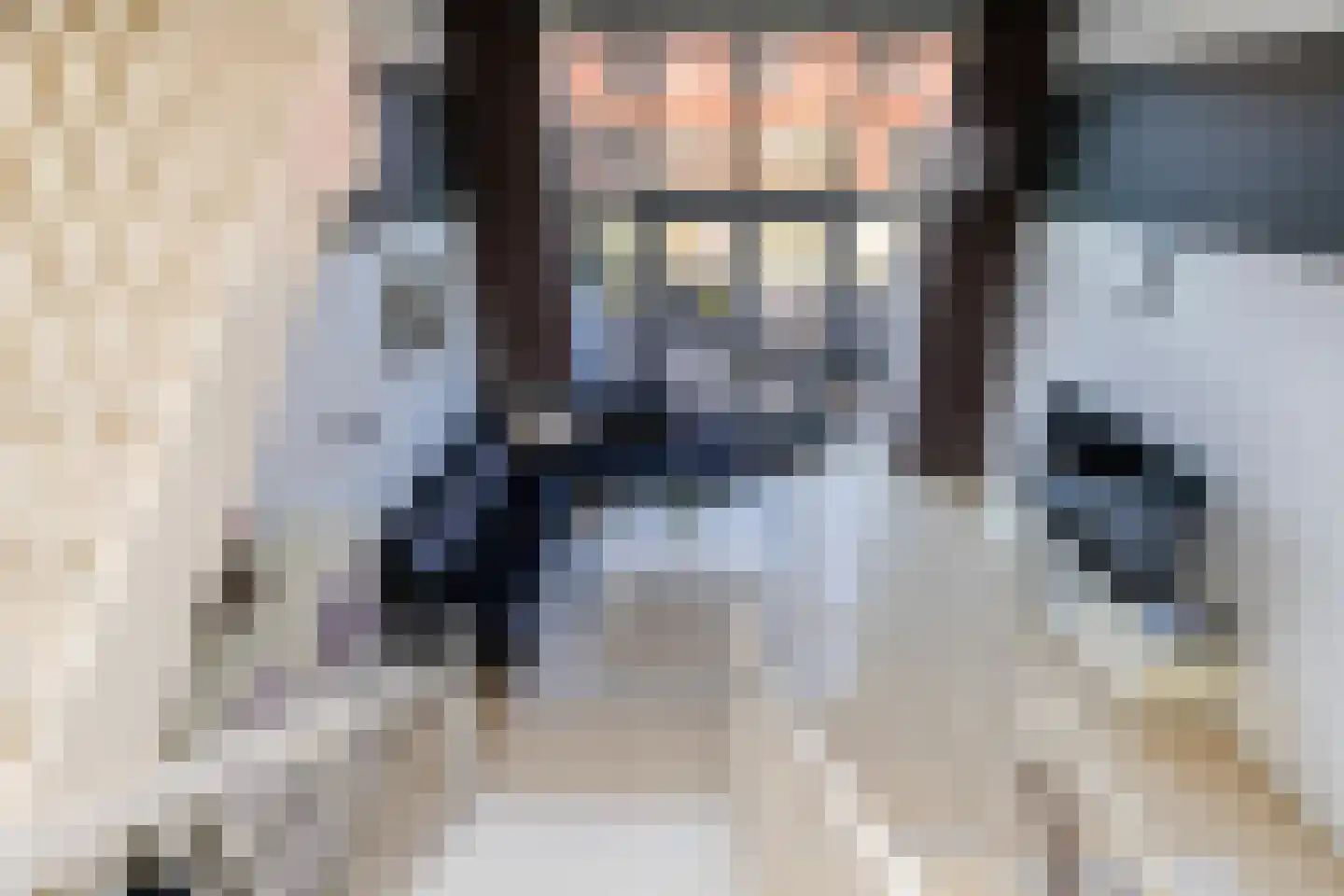 Parkzijde 87 Den Haag thumbnail 18