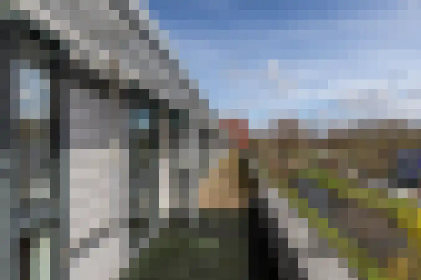 Parkzijde 87 Den Haag thumbnail 38