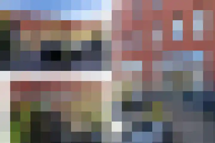 Parkzijde 87 Den Haag thumbnail 4
