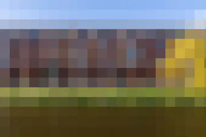 Parkzijde 87 Den Haag thumbnail 5